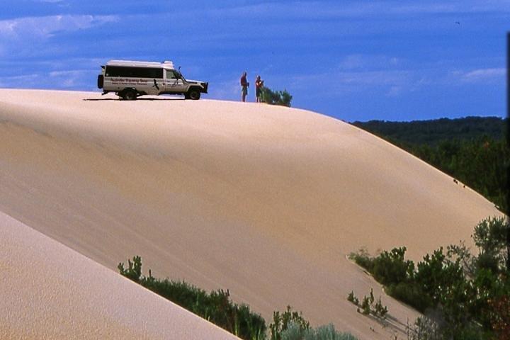 Half-Day Pemberton National Parks Beach and Forest Eco Adventure